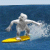 Yeti 6: Big Wave